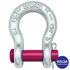 Anchor Shackle Crosby G-213 1018017 Size 1/4” Round Pin 1