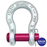 Crosby G-213 1018035 Size 5/16” Round Pin Anchor Shackle